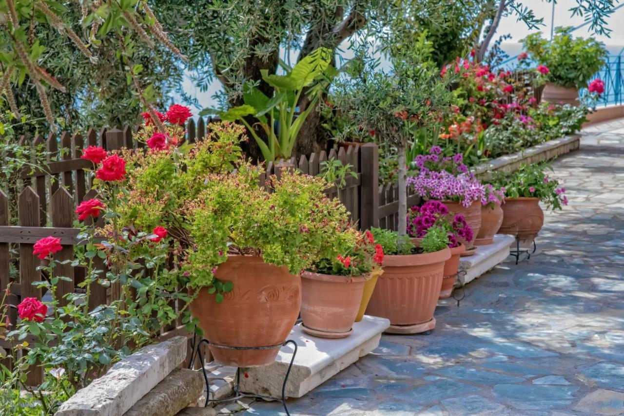 Villa Giovanni باراليا فراتشو المظهر الخارجي الصورة